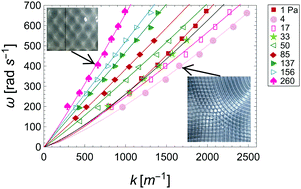 Graphical abstract: Extracting the surface tension of soft gels from elastocapillary wave behavior