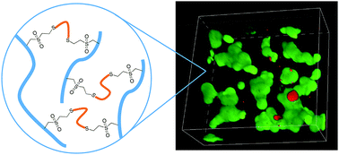 Graphical abstract: Synthetic hydrogels formed by thiol–ene crosslinking of vinyl sulfone-functional poly(methyl vinyl ether-alt-maleic acid) with α,ω-dithio-polyethyleneglycol