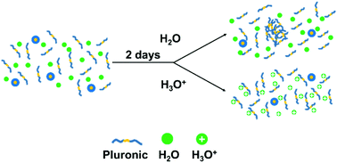 Graphical abstract: What causes the anomalous aggregation in pluronic aqueous solutions?