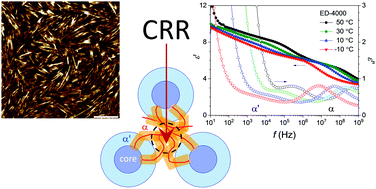 Graphical abstract: Interplay between structure and relaxation in polyurea networks: the point of view from a novel method of cooperativity analysis of dielectric response