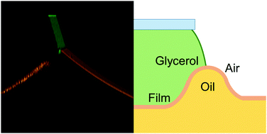 Graphical abstract: Microscopic details of a fluid/thin film triple line