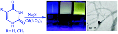 Graphical abstract: Cd(ii)–nucleobase supramolecular metallo-hydrogels for in situ growth of color tunable CdS quantum dots