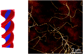 Graphical abstract: Hydrogen-bonding-directed helical nanofibers in a polythiophene-based all-conjugated diblock copolymer