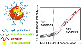 Graphical abstract: Formation of core/corona nanoparticles with interpolyelectrolyte complex cores in aqueous solution: insight into chain dynamics in the complex from fluorescence quenching