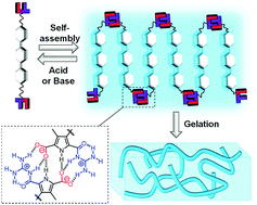 Graphical abstract: A dual pH-responsive supramolecular gelator with aggregation-induced emission properties