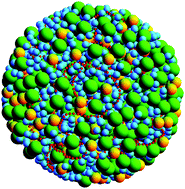 Graphical abstract: A segregative phase separation scenario of the formation of the bacterial nucleoid