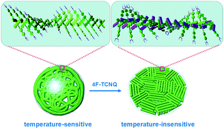 Graphical abstract: Supramolecular helical nanostructures from self-assembly of coil–rod–coil amphiphilic molecules incorporating the dianthranide unit