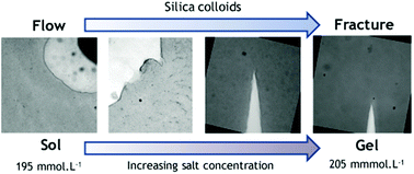 Graphical abstract: Flow and fracture near the sol–gel transition of silica nanoparticle suspensions