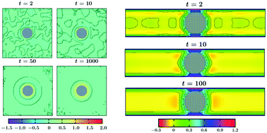 Graphical abstract: Phase separation around a heated colloid in bulk and under confinement