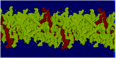 Graphical abstract: Effects of lipid composition on membrane permeation