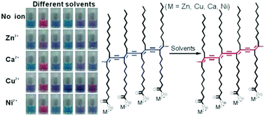 Graphical abstract: Co-assemblies of polydiacetylenes and metal ions for solvent sensing