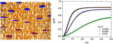 Graphical abstract: Director reorientation dynamics of ferromagnetic nematic liquid crystals