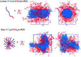 Graphical abstract: Effect of macromolecular architecture on the self-assembly behavior of copolymers in a selective polymer host