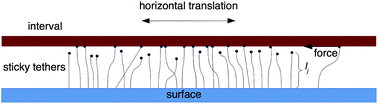 Graphical abstract: Modeling the relative dynamics of DNA-coated colloids