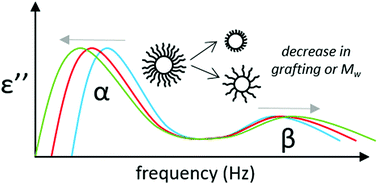 Graphical abstract: Segmental and secondary dynamics of nanoparticle-grafted oligomers