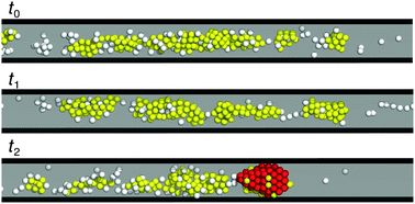 Graphical abstract: Dynamics and structure of colloidal aggregates under microchannel flow