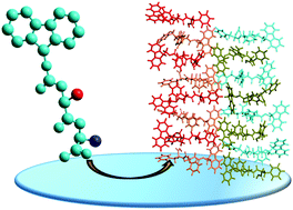 Graphical abstract: Unravelling the 2D self-assembly of Fmoc-dipeptides at fluid interfaces