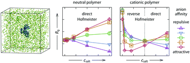 Graphical abstract: Tuning the collapse transition of weakly charged polymers by ion-specific screening and adsorption