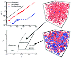 Graphical abstract: Dynamic properties of different liquid states in systems with competing interactions studied with lysozyme solutions
