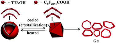 Graphical abstract: Formation of polyhedral vesicle gels from catanionic mixtures of hydrogenated and perfluorinated surfactants: effect of fluoro-carbon alkyl chain lengths