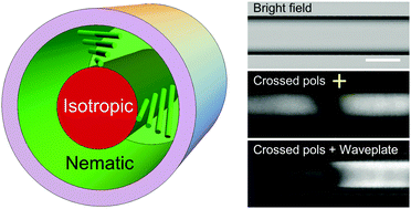Graphical abstract: Cylindrical nematic liquid crystal shell: effect of saddle-splay elasticity
