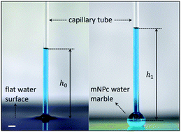 Graphical abstract: A capillary rise method for studying the effective surface tension of monolayer nanoparticle-covered liquid marbles