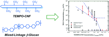 Graphical abstract: The sol–gel transition of ultra-low solid content TEMPO-cellulose nanofibril/mixed-linkage β-glucan bionanocomposite gels