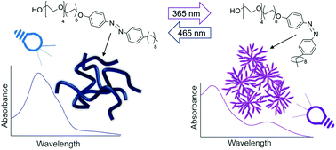 Graphical abstract: Probing the dynamic self-assembly behaviour of photoswitchable wormlike micelles in real-time