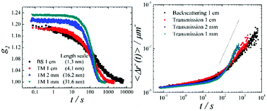 Graphical abstract: Physical aging and compressed exponential behaviors in a model soft colloidal system