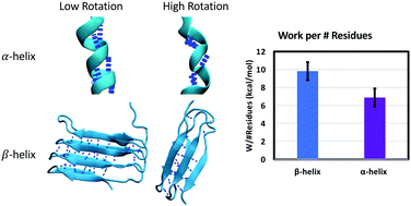 Graphical abstract: Mechanical unfolding of alpha- and beta-helical protein motifs