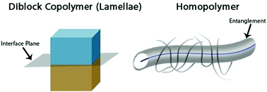 Graphical abstract: Correlation between morphology and anisotropic transport properties of diblock copolymers melts