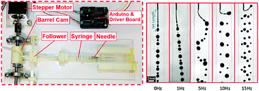 Graphical abstract: Oscillating dispersed-phase co-flow microfluidic droplet generation: jet length reduction effect