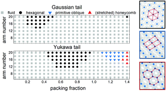 Graphical abstract: Two-dimensional crystals of star polymers: a tale of tails