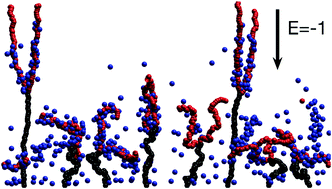 Graphical abstract: Simulations of 3-arm polyelectrolyte star brushes under external electric fields