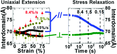 Graphical abstract: Strain rate dependent nanostructure of hydrogels with reversible hydrophobic associations during uniaxial extension