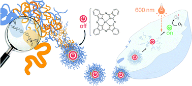 Graphical abstract: Double stimuli-responsive polysaccharide block copolymers as green macrosurfactants for near-infrared photodynamic therapy