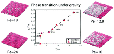 Graphical abstract: Ordering of colloidal hard spheres under gravity: from monolayer to multilayer