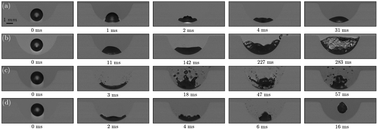 Graphical abstract: Rebounding suppression of droplet impact on hot surfaces: effect of surface temperature and concaveness