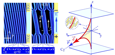 Graphical abstract: Flexo-electricity of the dowser texture