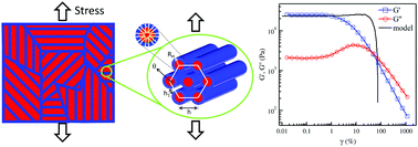 Graphical abstract: Elasticity and yielding of mesophases of block copolymers in water–oil mixtures
