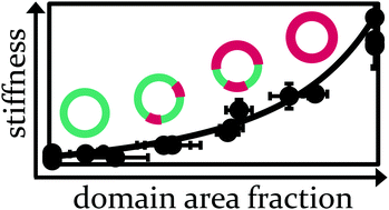 Graphical abstract: Scaling of lipid membrane rigidity with domain area fraction