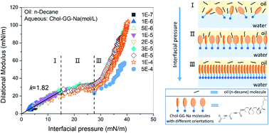 Graphical abstract: Interfacial rheological behaviors of amphiphilic sodium cholesteryl glycylglycine
