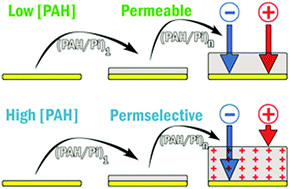 Graphical abstract: Continuous assembly of supramolecular polyamine–phosphate networks on surfaces: preparation and permeability properties of nanofilms