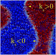 Graphical abstract: Curvature dynamics and long-range effects on fluid–fluid interfaces with colloids