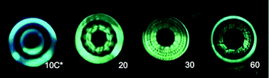 Graphical abstract: Shearing-induced contact pattern formation in hydrogels sliding in polymer solution