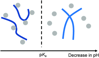 Graphical abstract: Probing the self-assembled structures and pKa of hydrogels using electrochemical methods