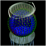 Graphical abstract: Ray-based optical visualisation of complex birefringent structures including energy transport