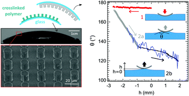 Graphical abstract: Capillary bridge technique to study superhydrophobic surfaces