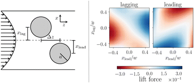 Graphical abstract: A flowing pair of particles in inertial microfluidics