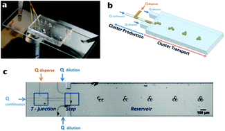 Graphical abstract: Flow-assisted droplet assembly in a 3D microfluidic channel